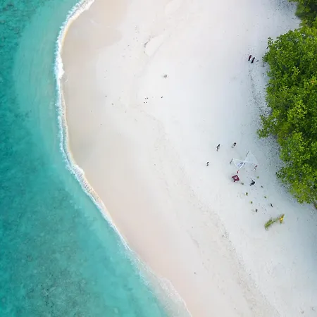 Beach Veli
